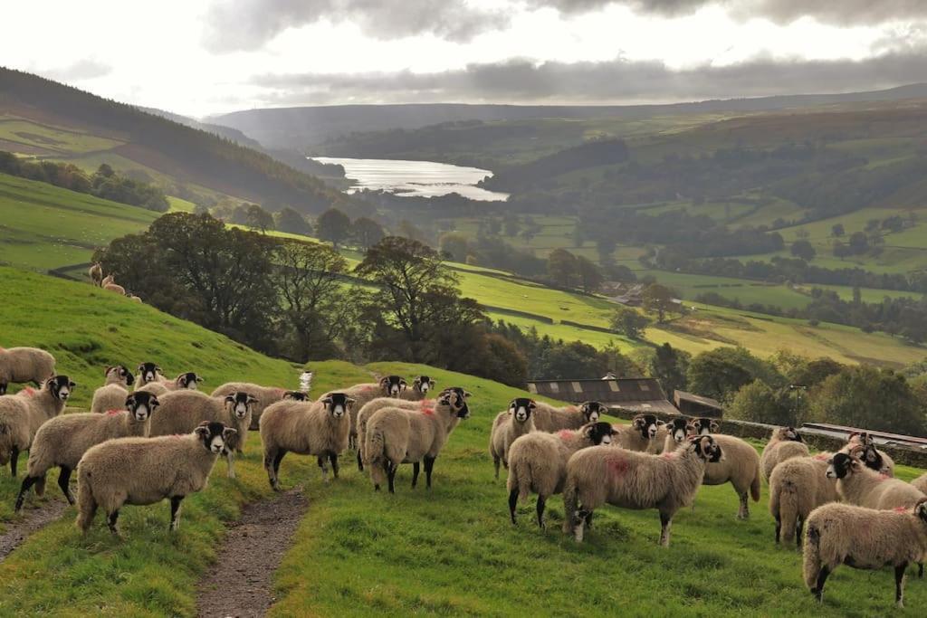 Wensleydale Halls Leyburn Bagian luar foto